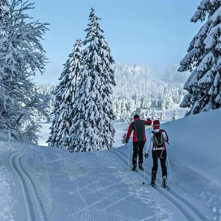 Only Approx 60m From The Lift Διαμέρισμα La Tzoumaz