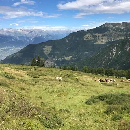 Only Approx 60m From The Lift * La Tzoumaz